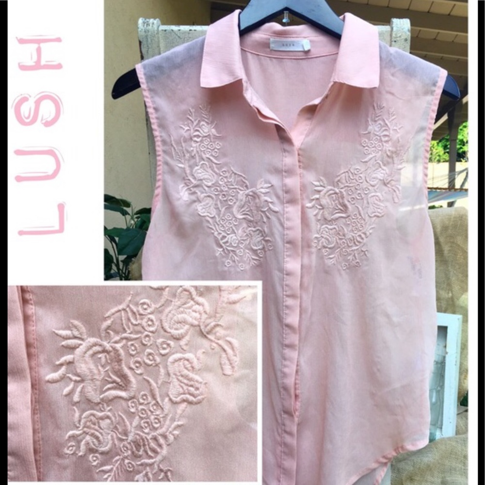 EMBROIDERED Lush Sheer Button Down Pale Collared